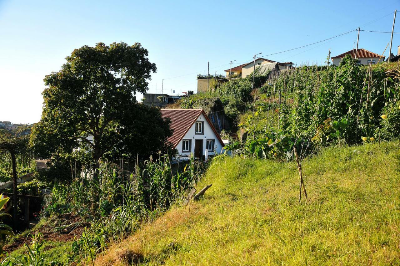 Casa Tipica De Santana - Casa Do Avo Villa Luaran gambar